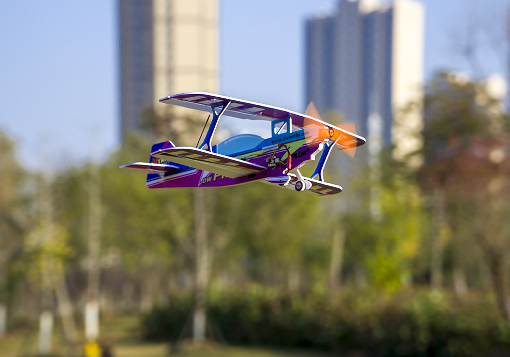 DW Hobby 450mm PITTS PP RC Air - Rc Hobby Experts 评论和价格