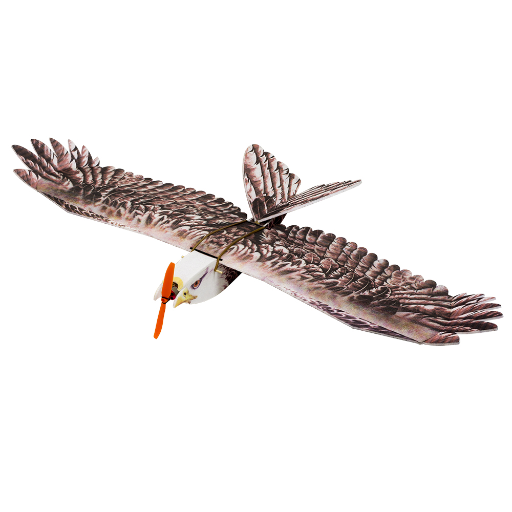 DW Hobby Eagle II EPP Airplane - Rc Hobby Experts 评论和价格