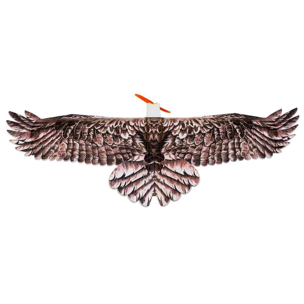 DW Hobby Eagle II EPP Airplane - Rc Hobby Experts 评论和价格