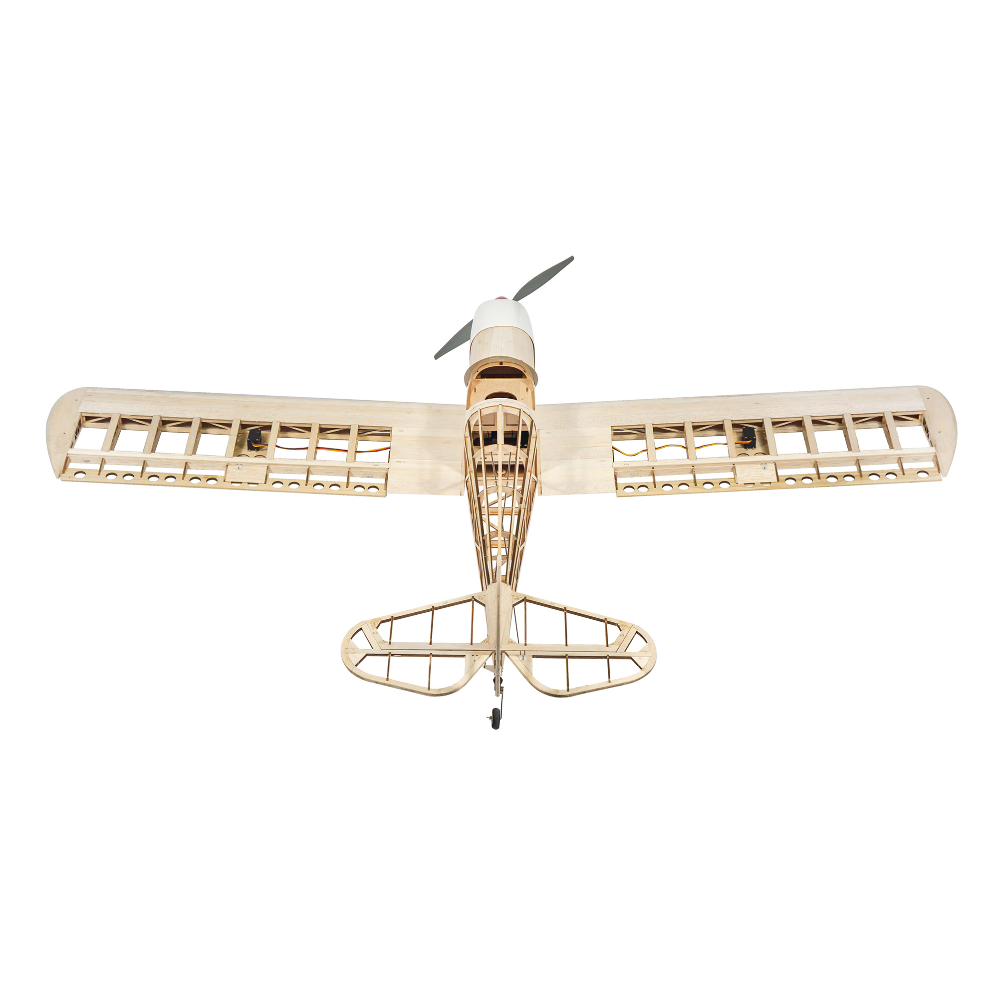 Dancing Wings Hobby 1.6M (63in - Rc Hobby Experts 评论和价格